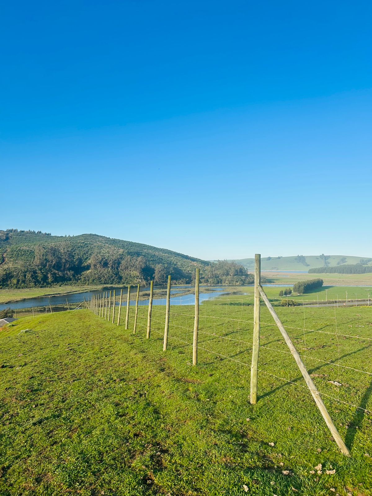 Vista del terreno