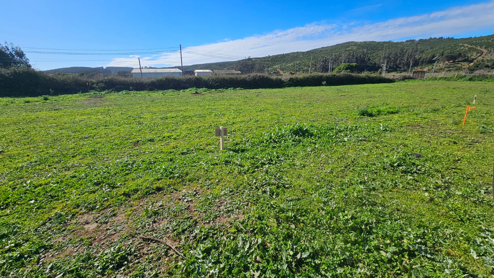 Vista del terreno