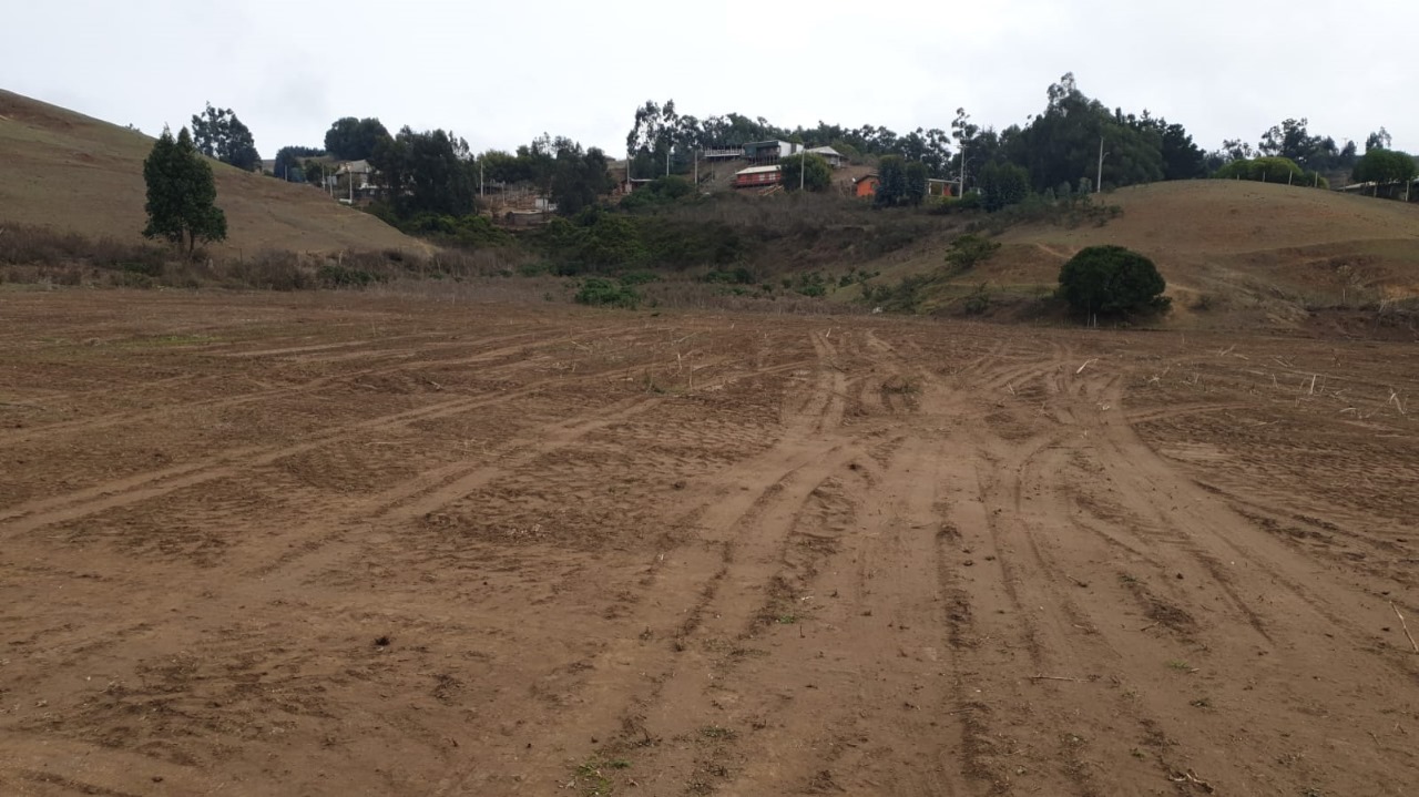 Vista del terreno