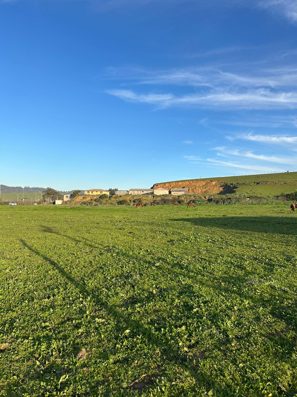 Vista del terreno